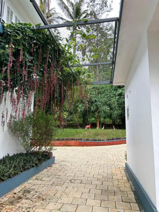Exuberance Villa