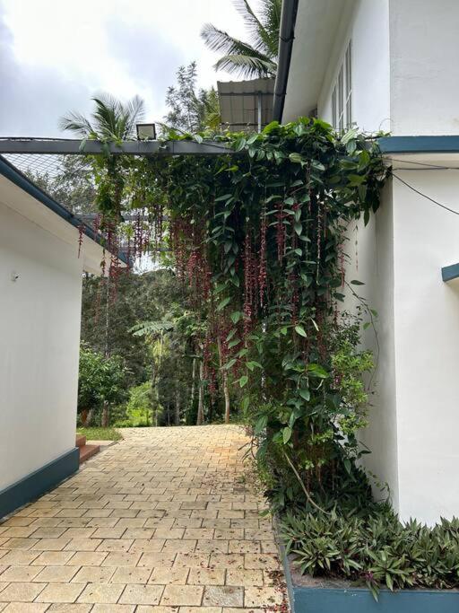 Exuberance Villa
