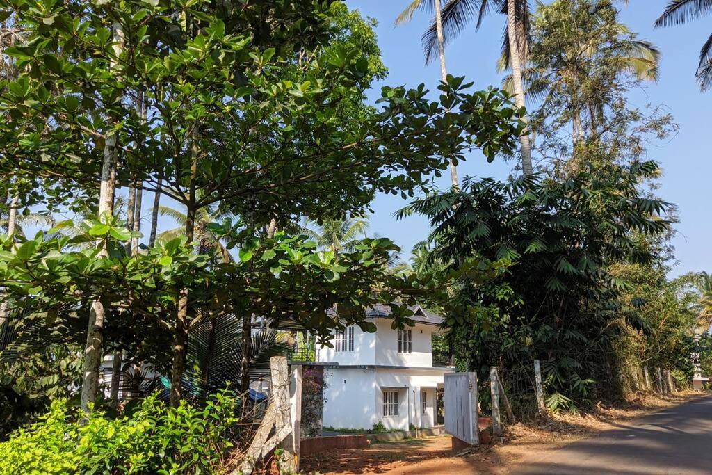 Exuberance Villa