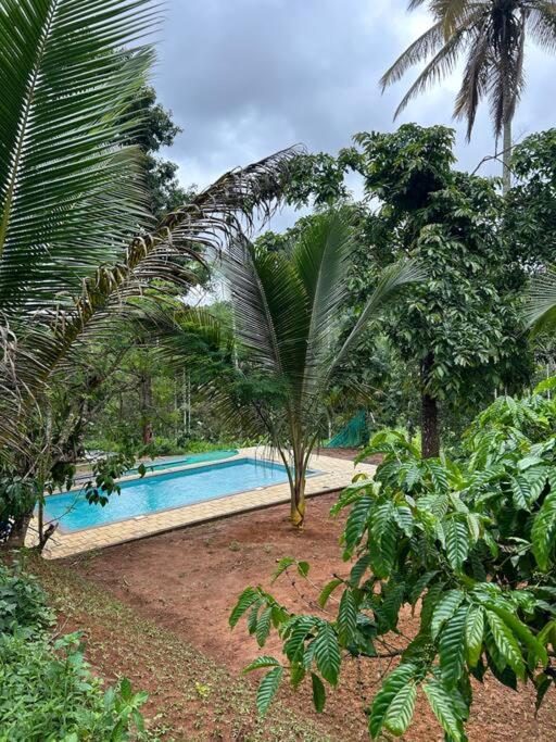 Exuberance Villa