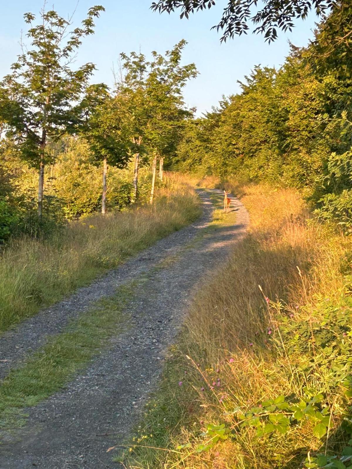 Photo 47
