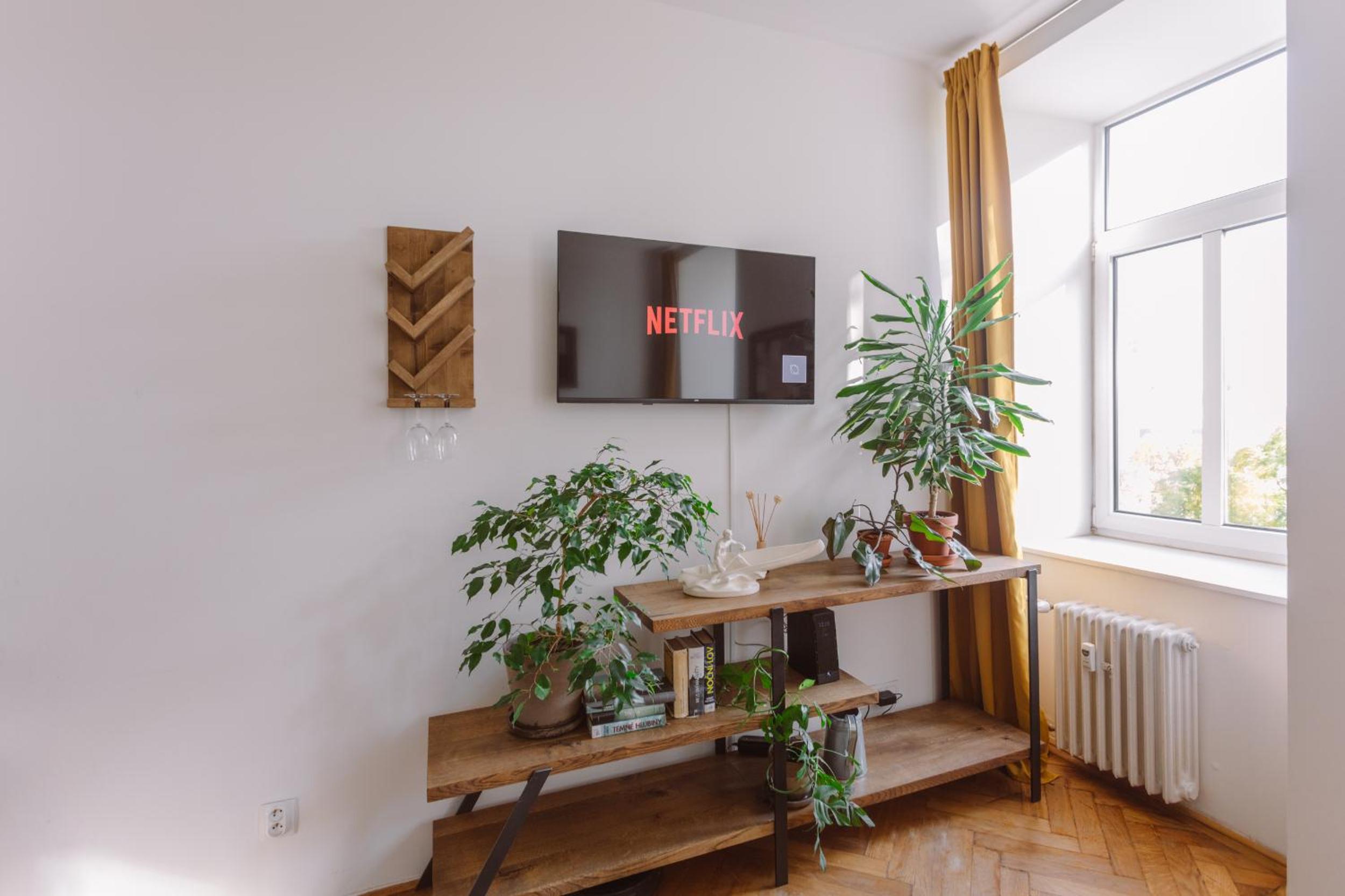 Urban lifestyle Brno