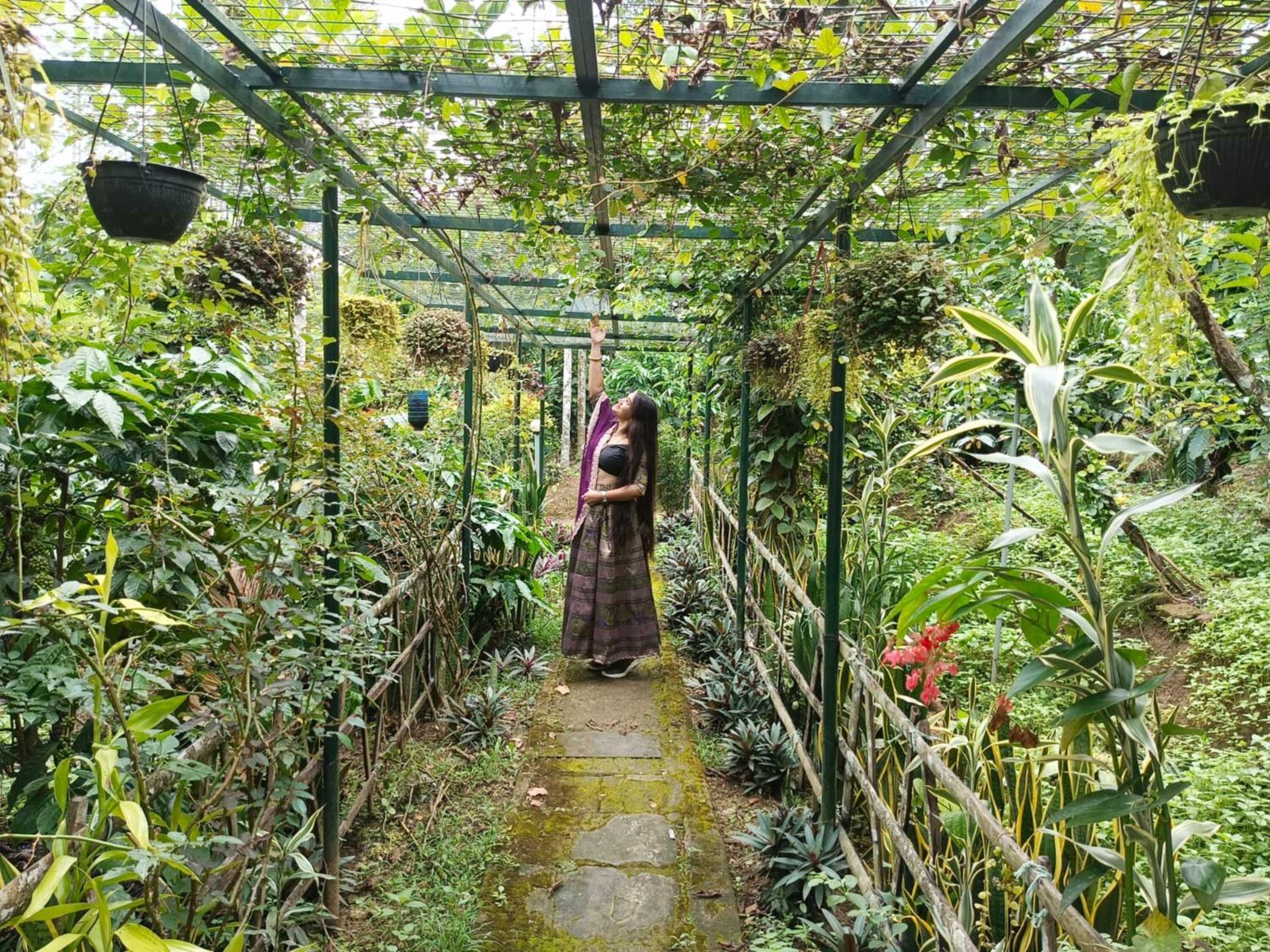 Greens Vista Homestay Wayanad Near Natural Stream and Pool view 2