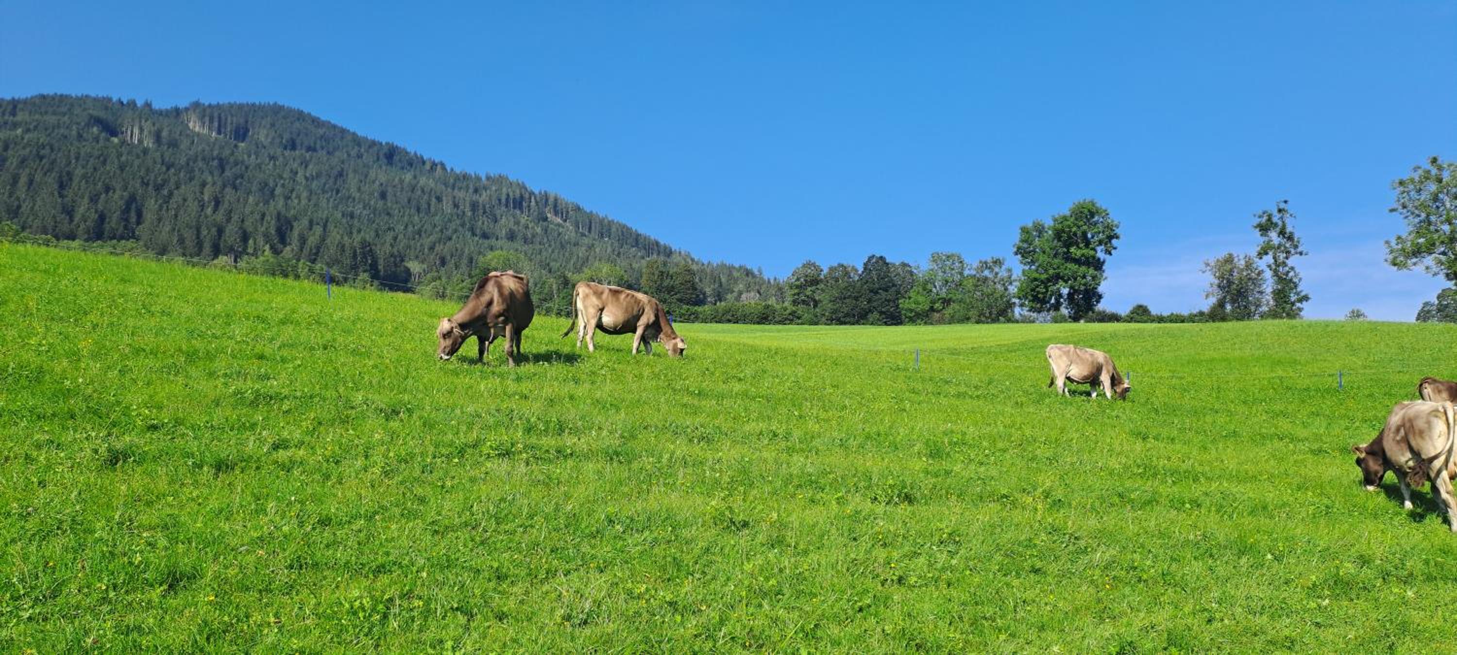 Ferienwohnung Steinernes Meer