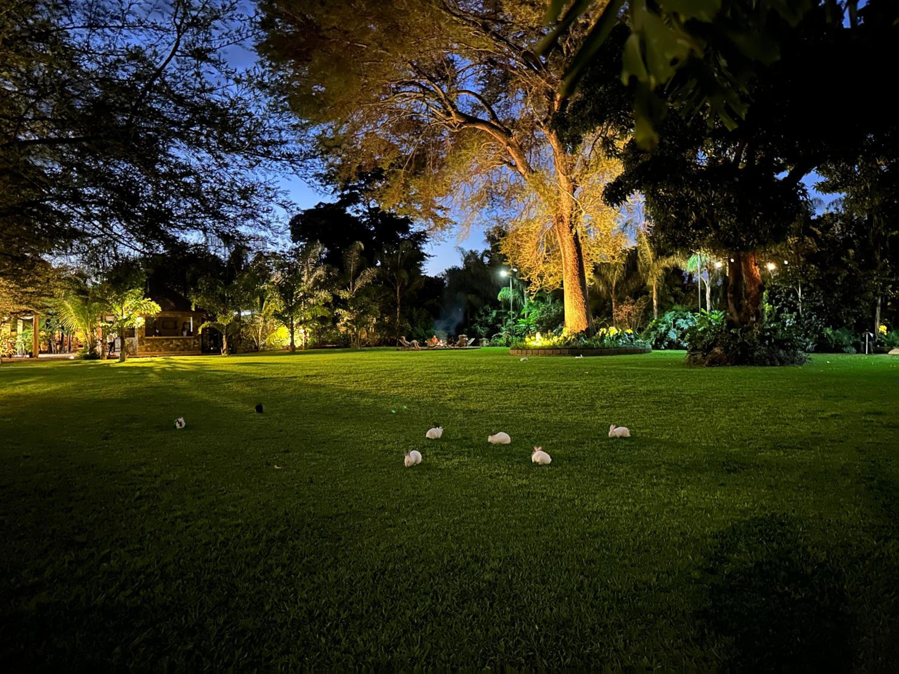 Tulivu Kilimanjaro Retreat view 2
