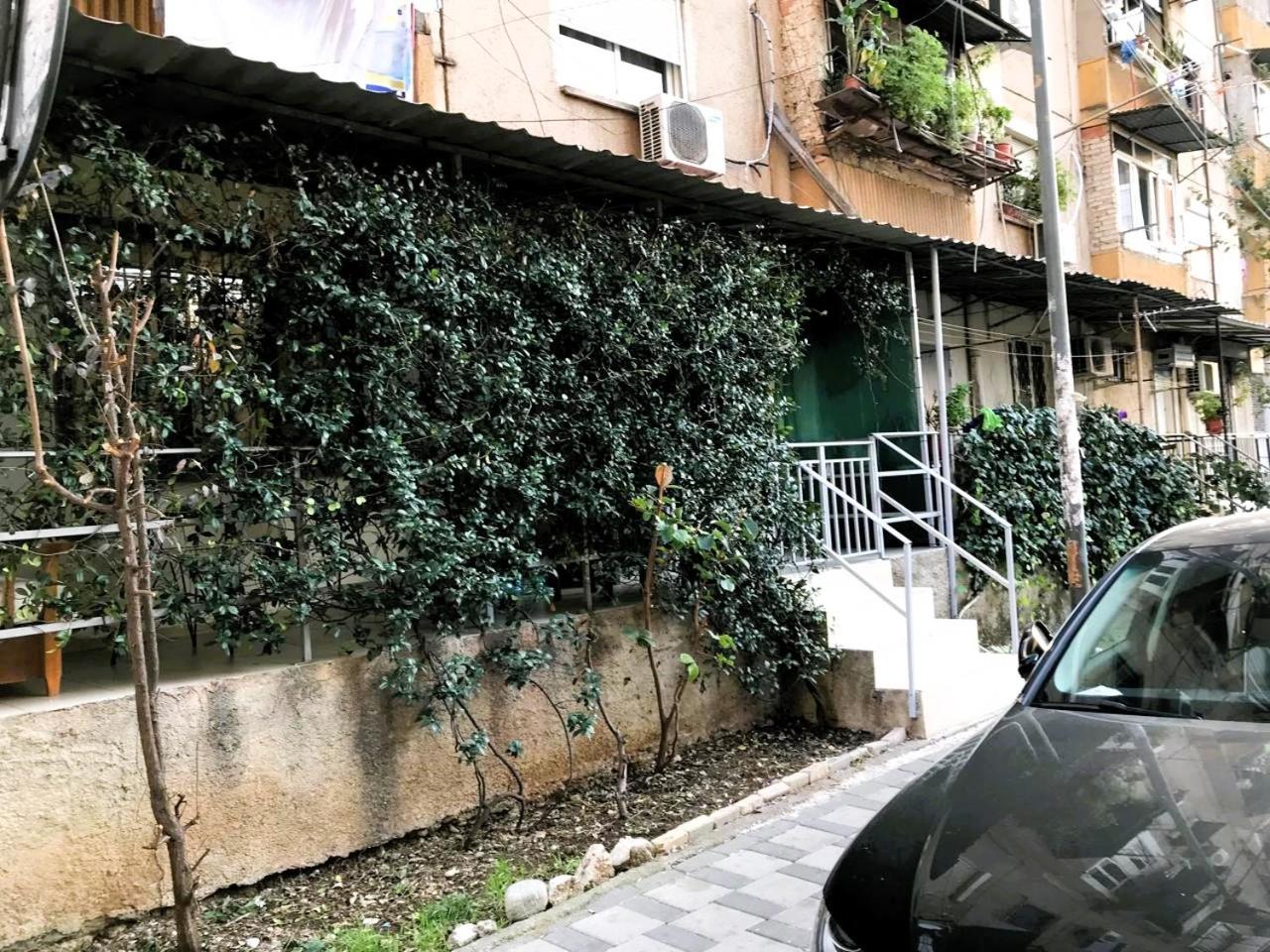 Blossom Balcony Apartment