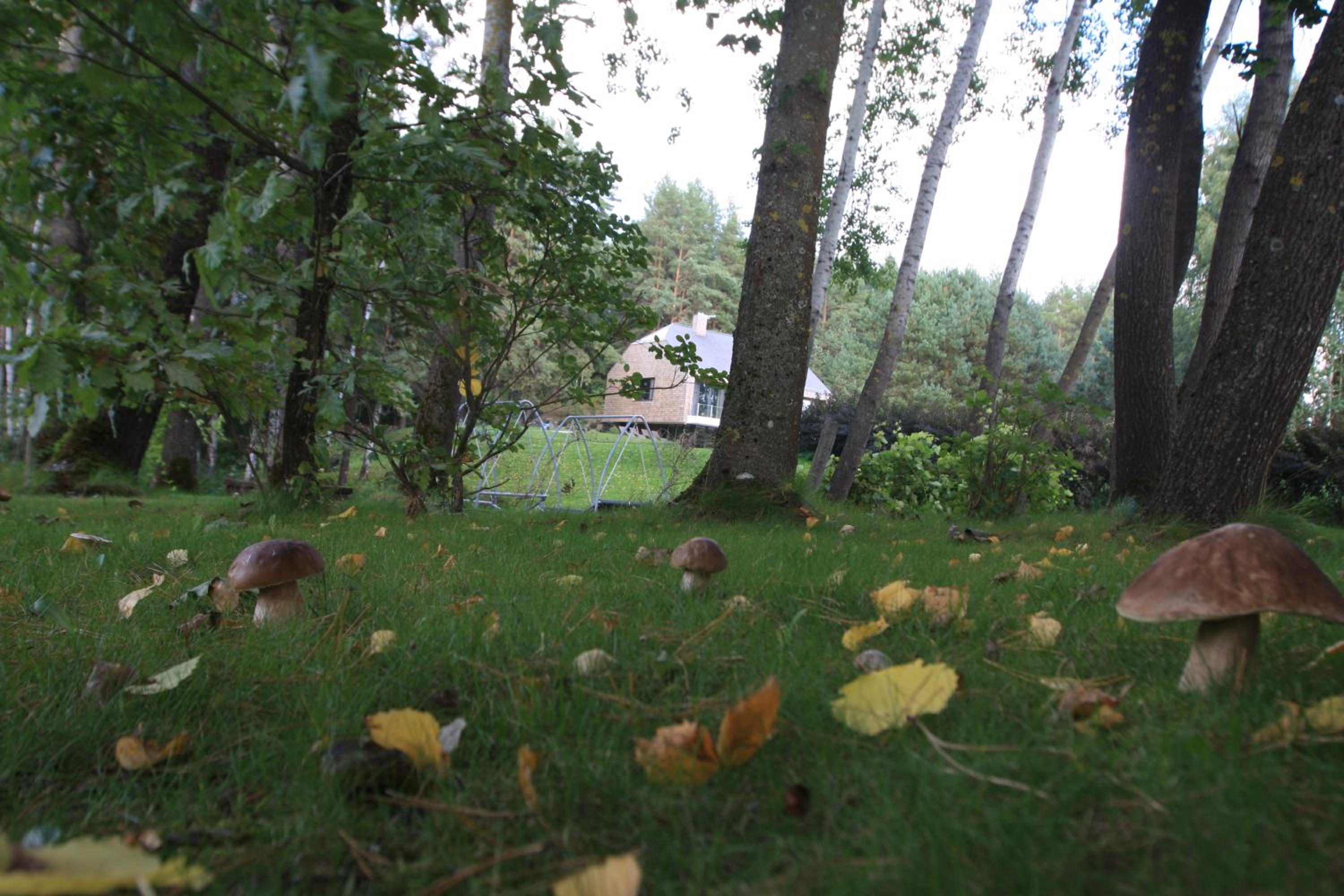 Photo 38