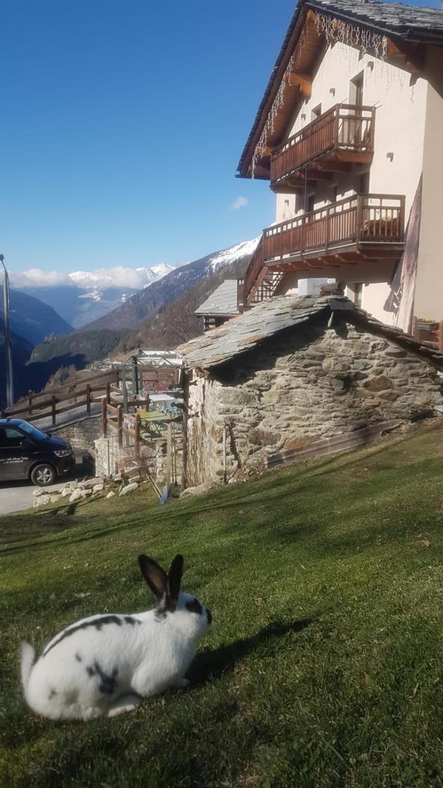 Alpe Rebelle view 2