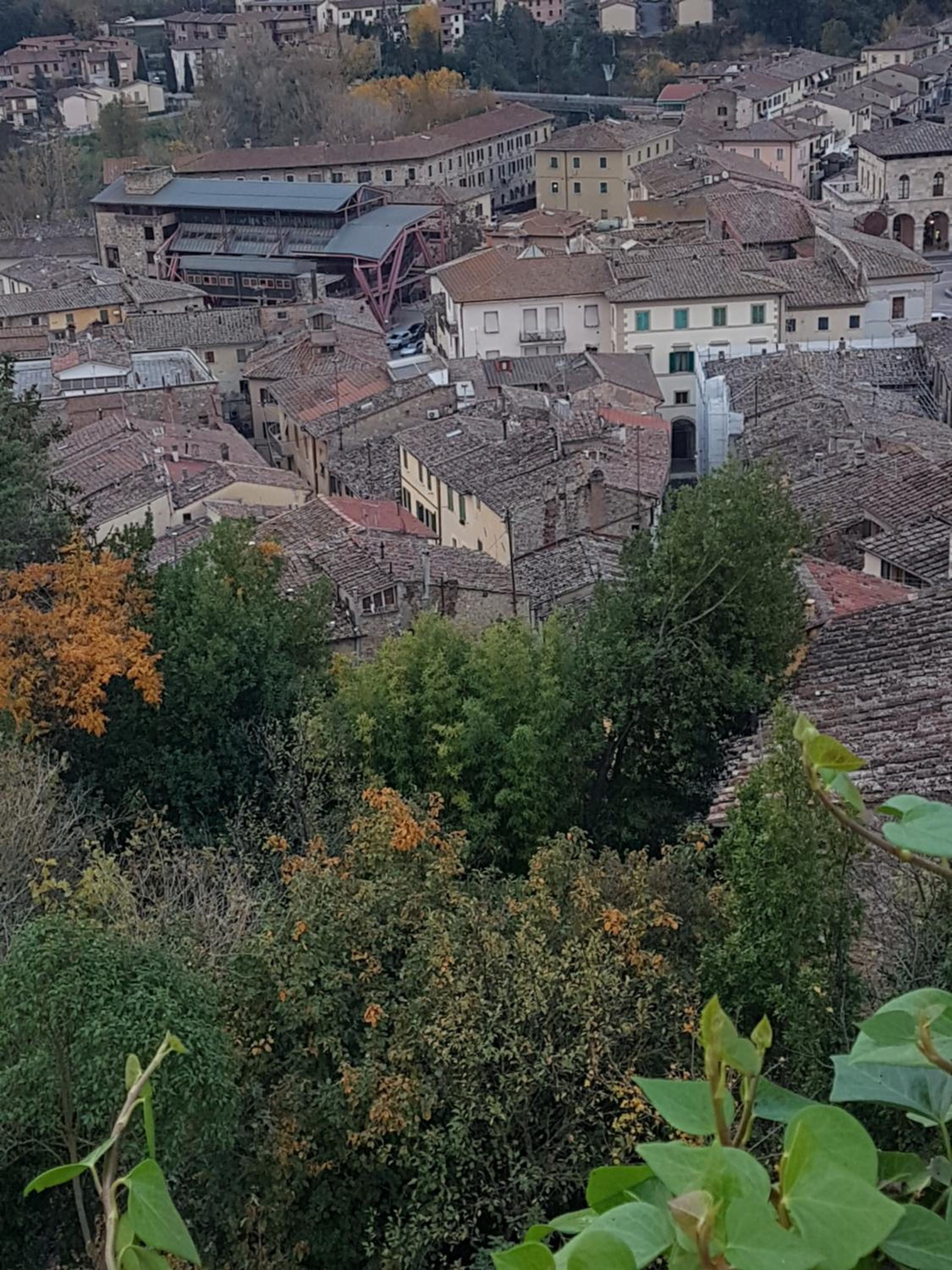 Sebastiano, photo 13