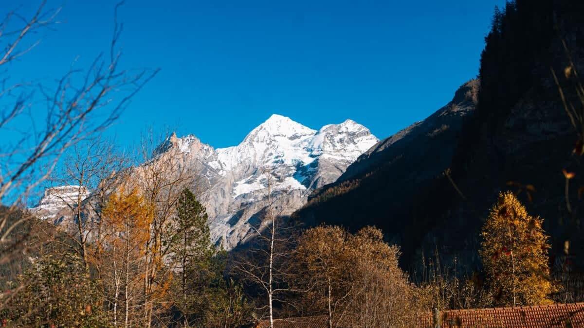 Apartment Olsa - Cozy Studio in Kandersteg