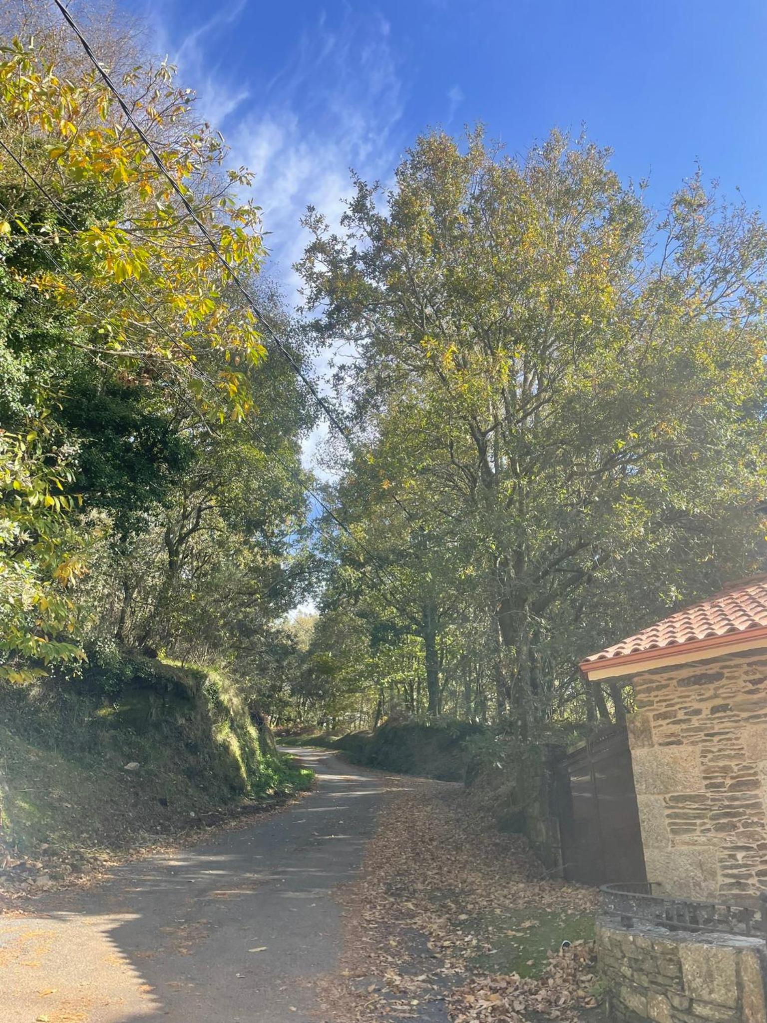 Casa Redonda