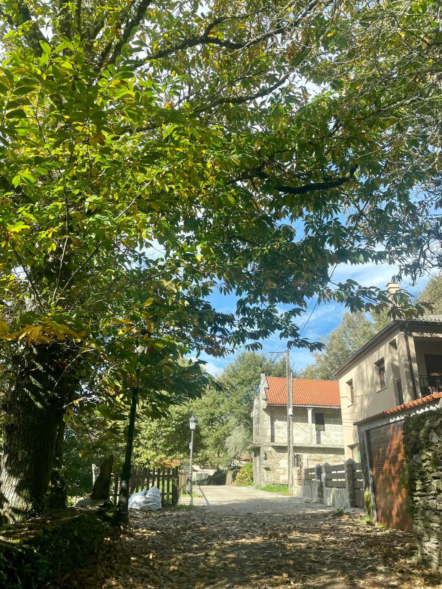 Casa Redonda
