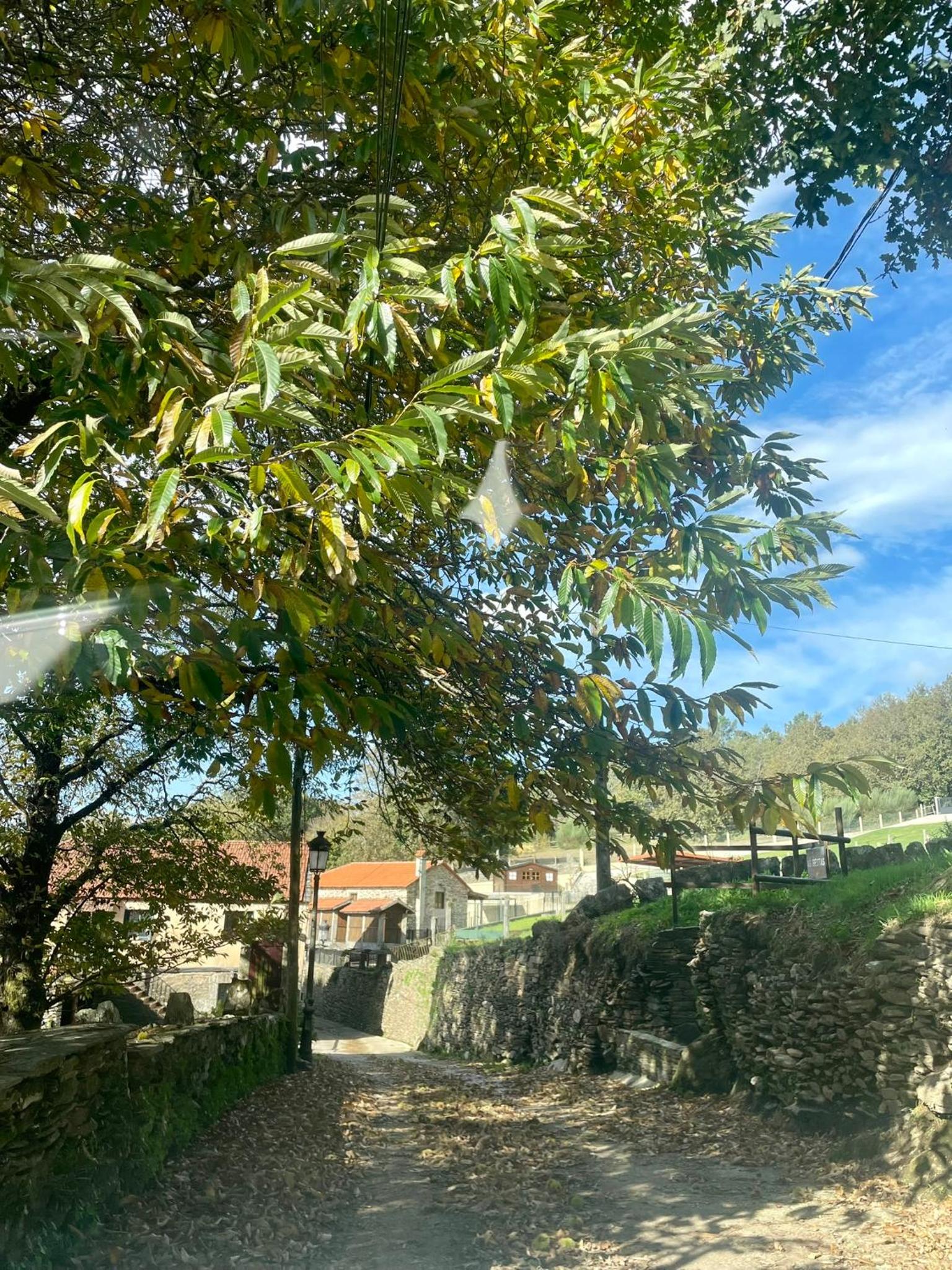 Casa Redonda