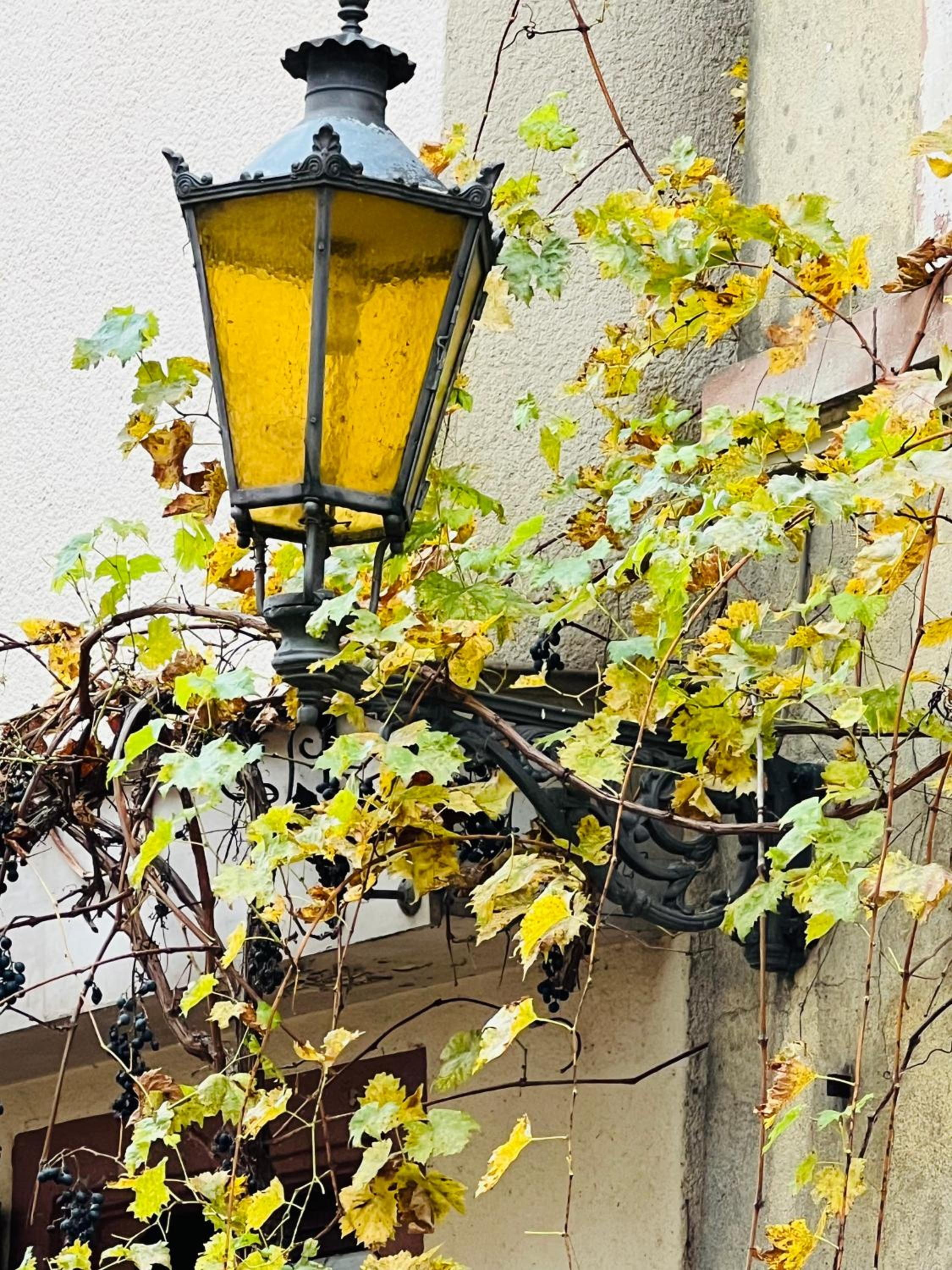 ARTvacanza Neustadt