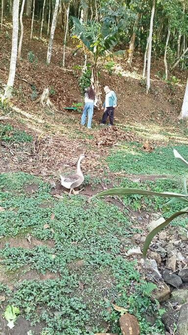 Chalé da Montanha Petrópolis