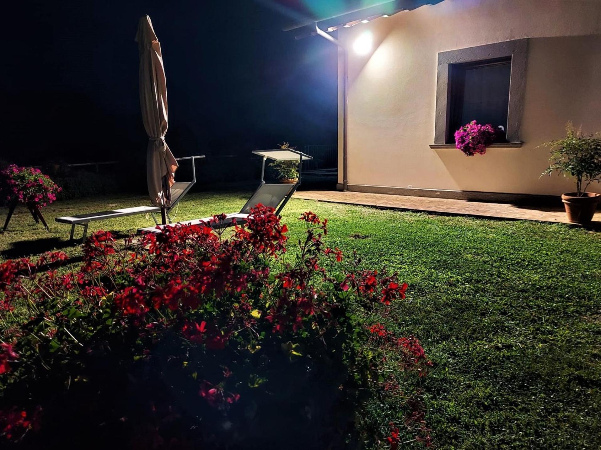 Photo 40