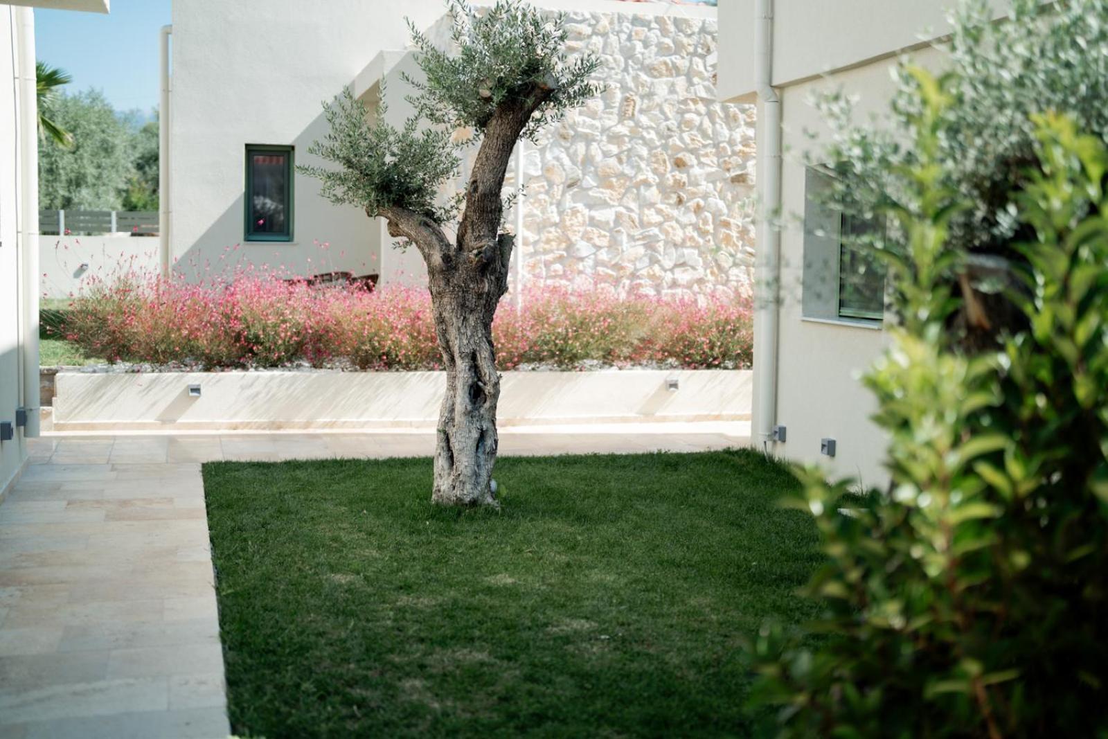 Magnolia Villas Potos Thassos