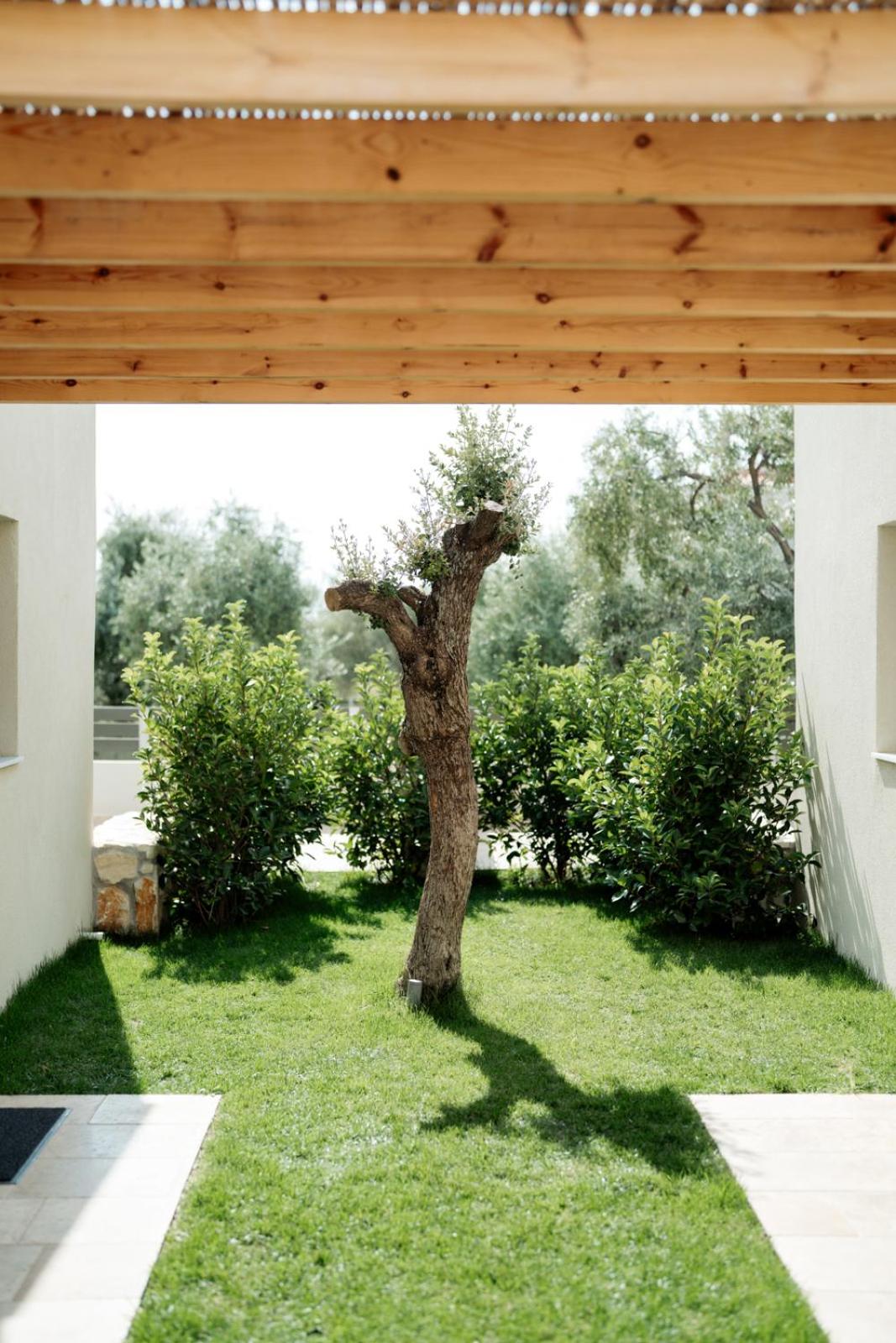 Magnolia Villas Potos Thassos