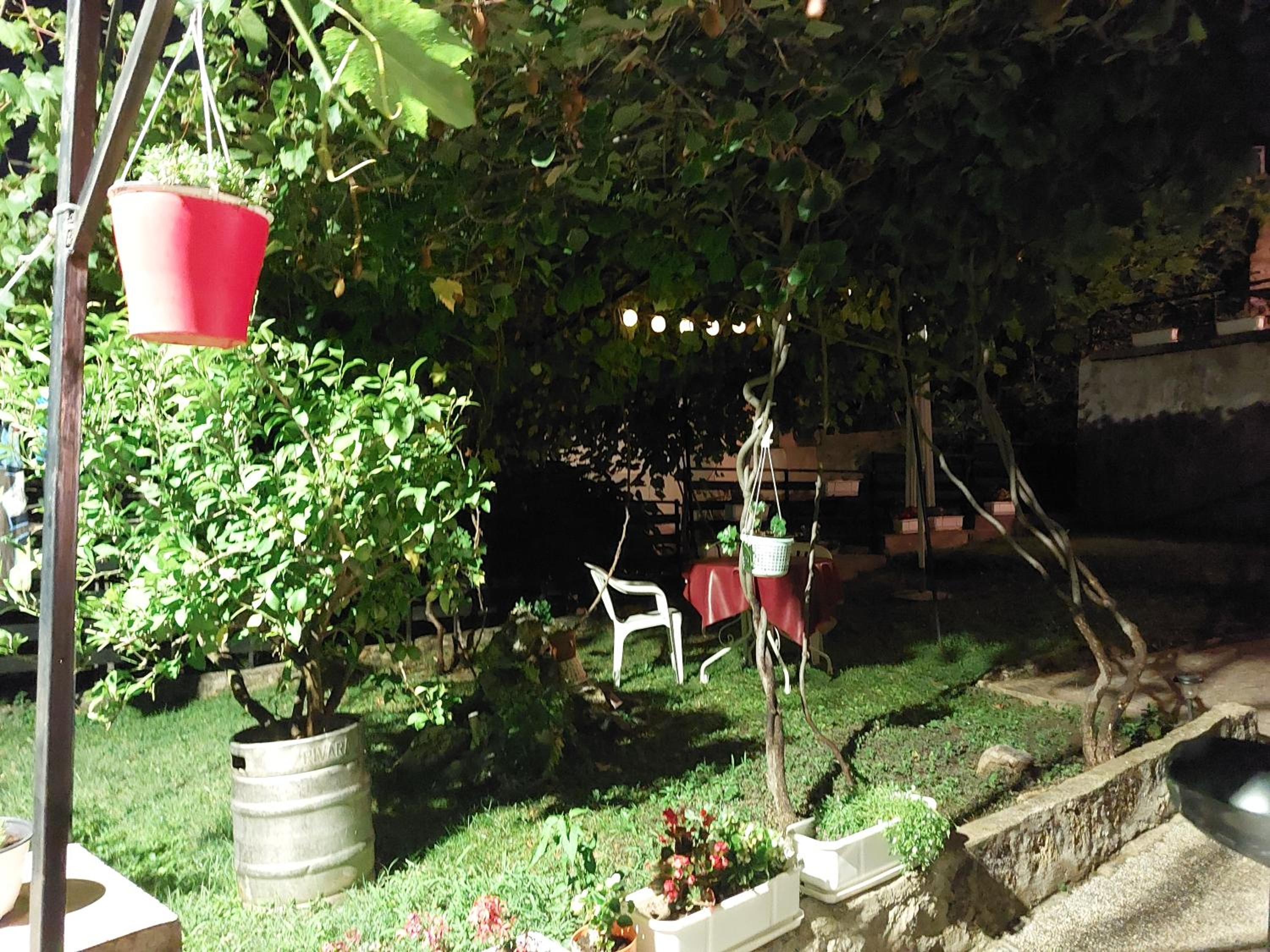 Photo 18