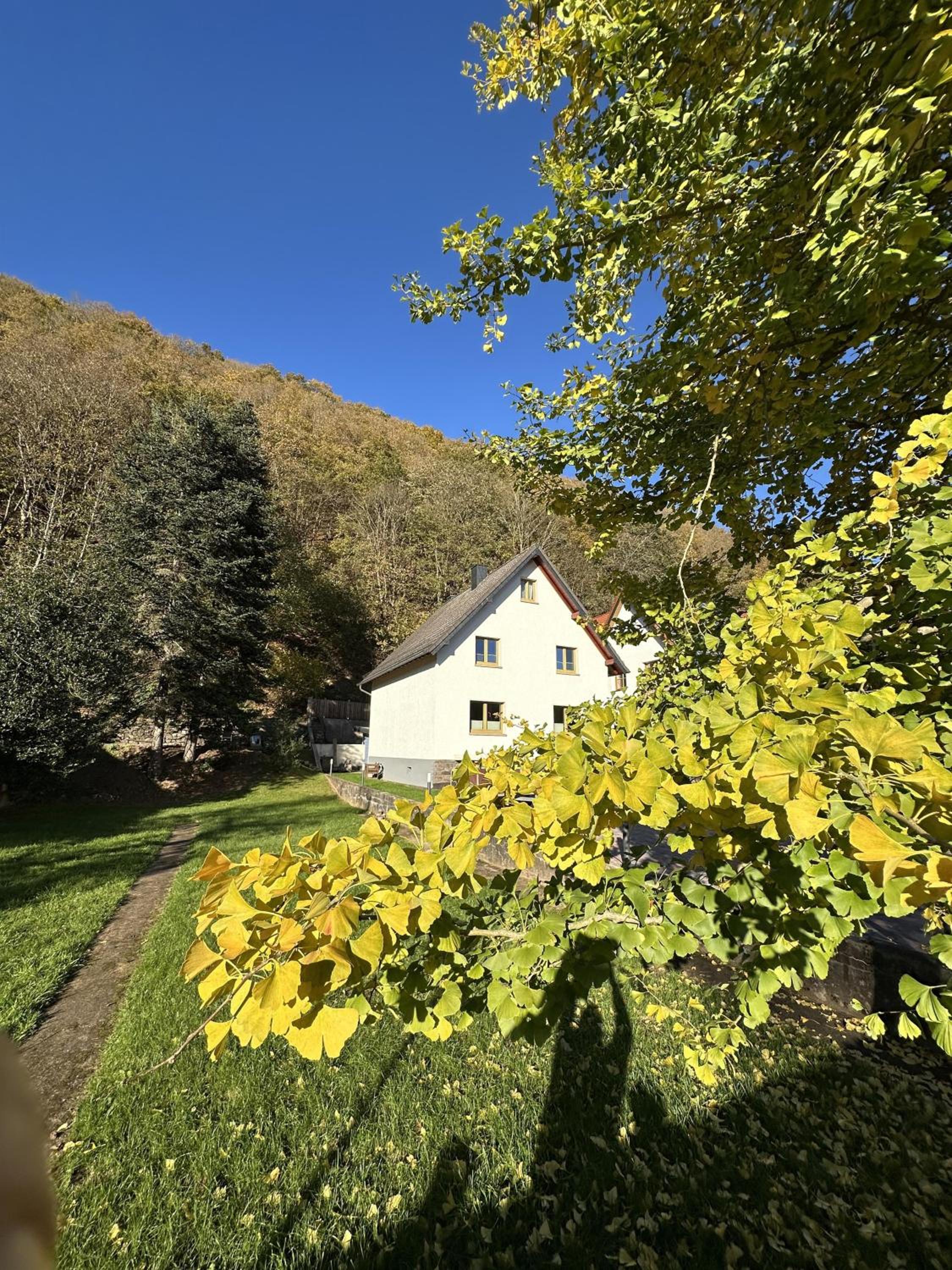 Ferienhaus Ginkgo Biloba