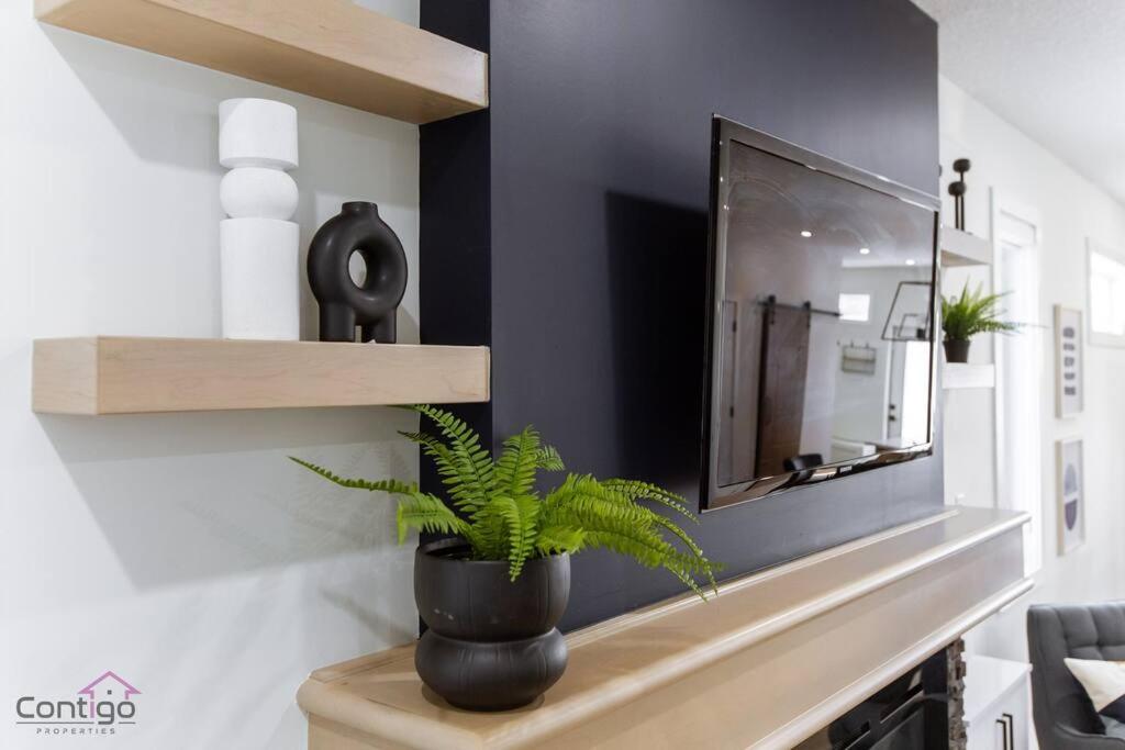 Modern Retreat, AirCon, Backyard, Near DT & WEM