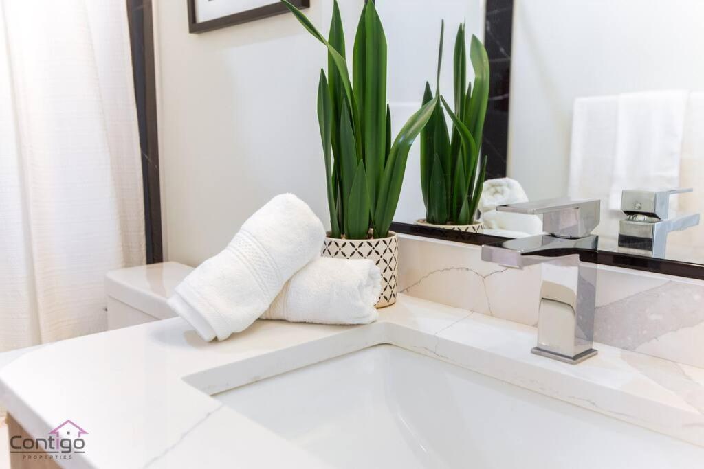 Modern Retreat, AirCon, Backyard, Near DT & WEM