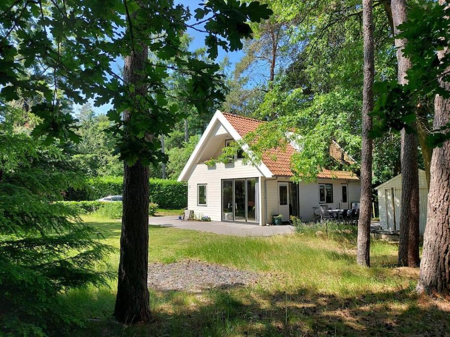 Familiehuis Zeegserduinen view 5