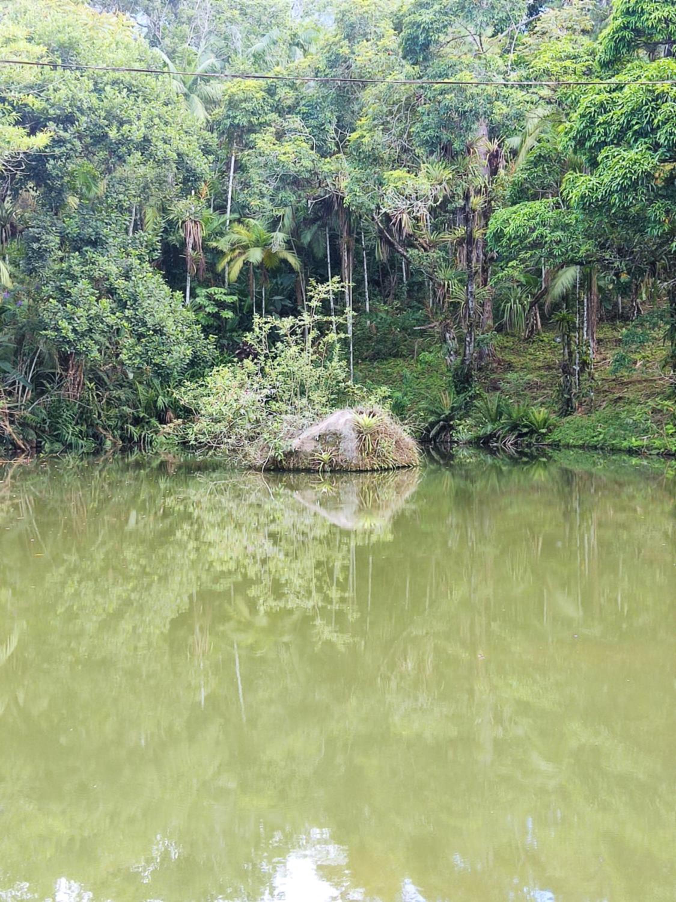 Cabana na Montanha