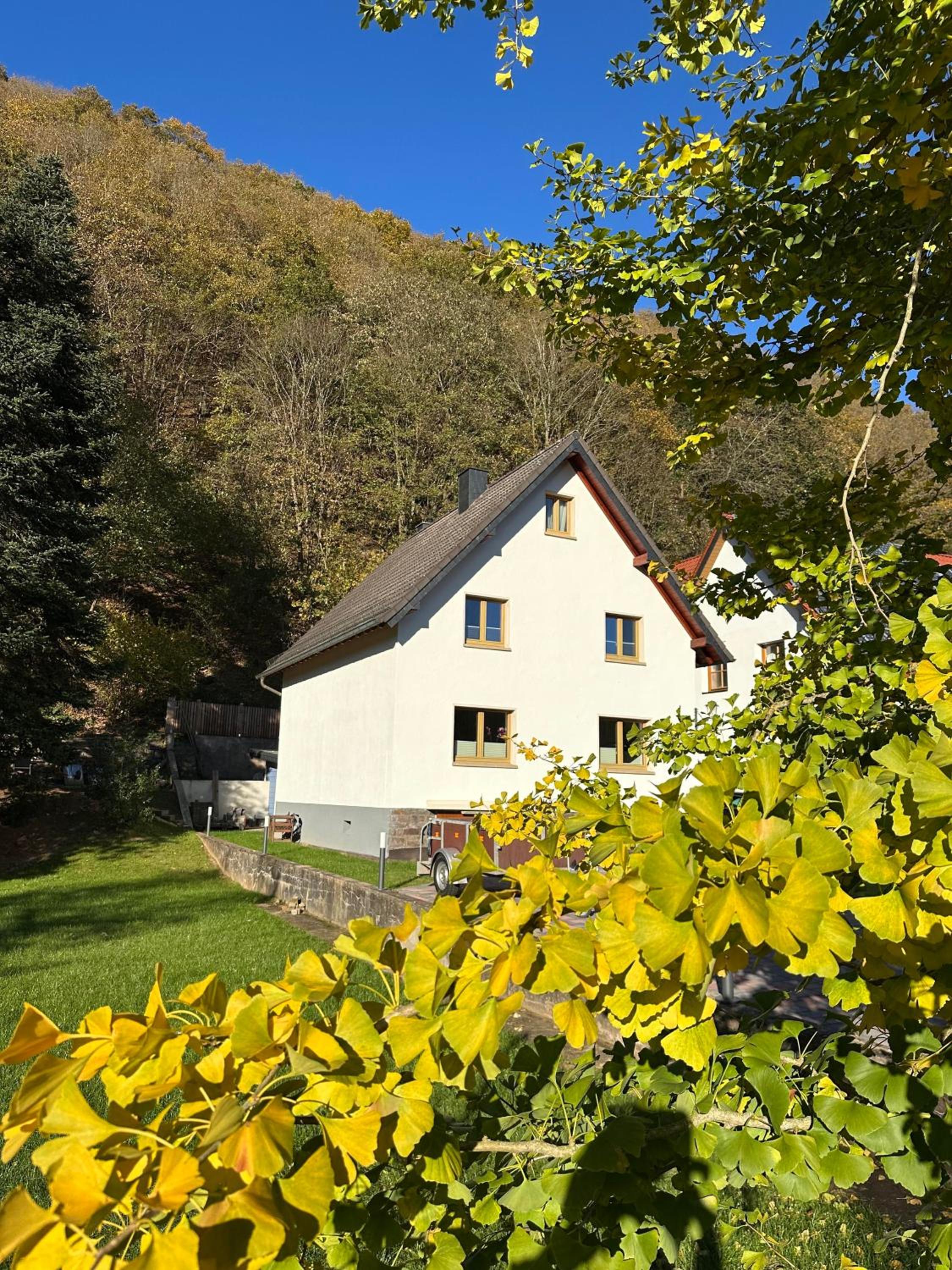 Ferienhaus Ginkgo Biloba