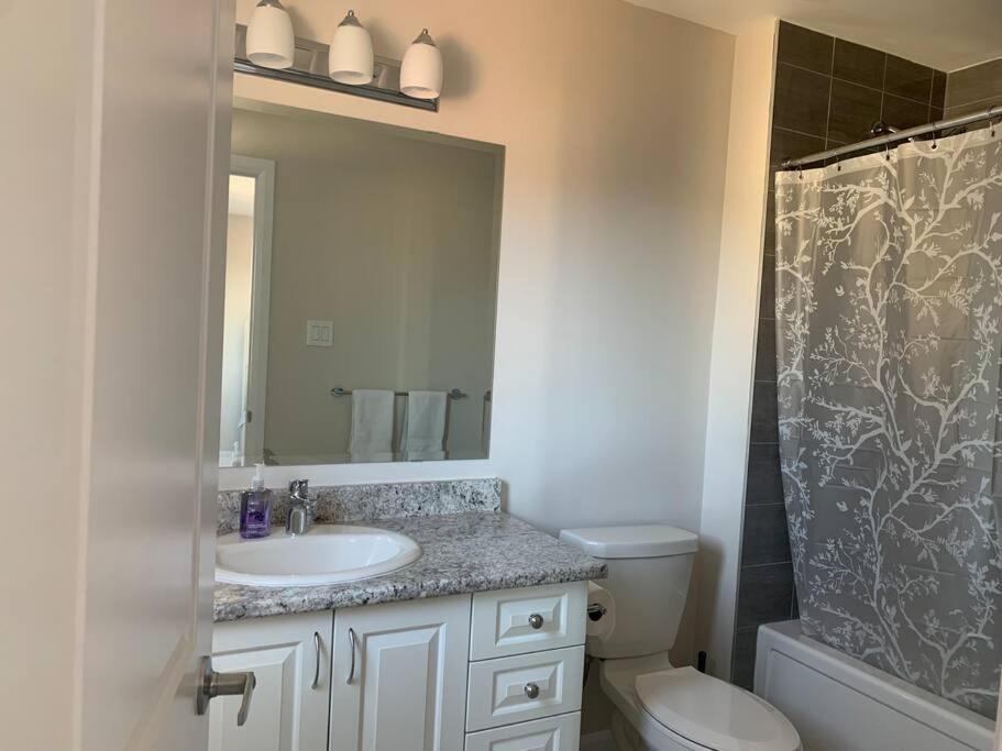 Brand new house