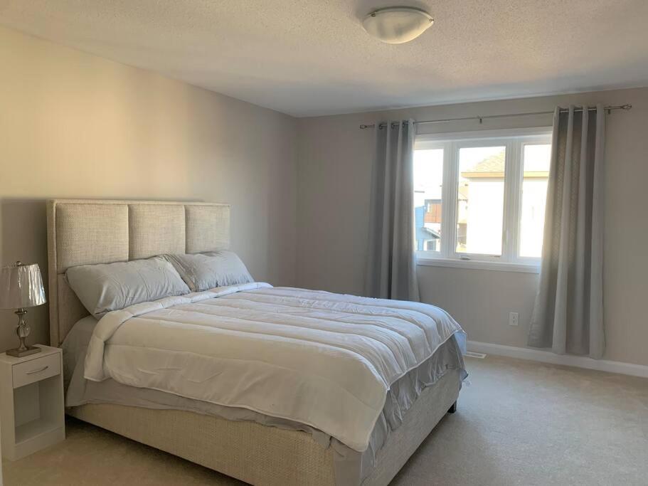 Brand new house