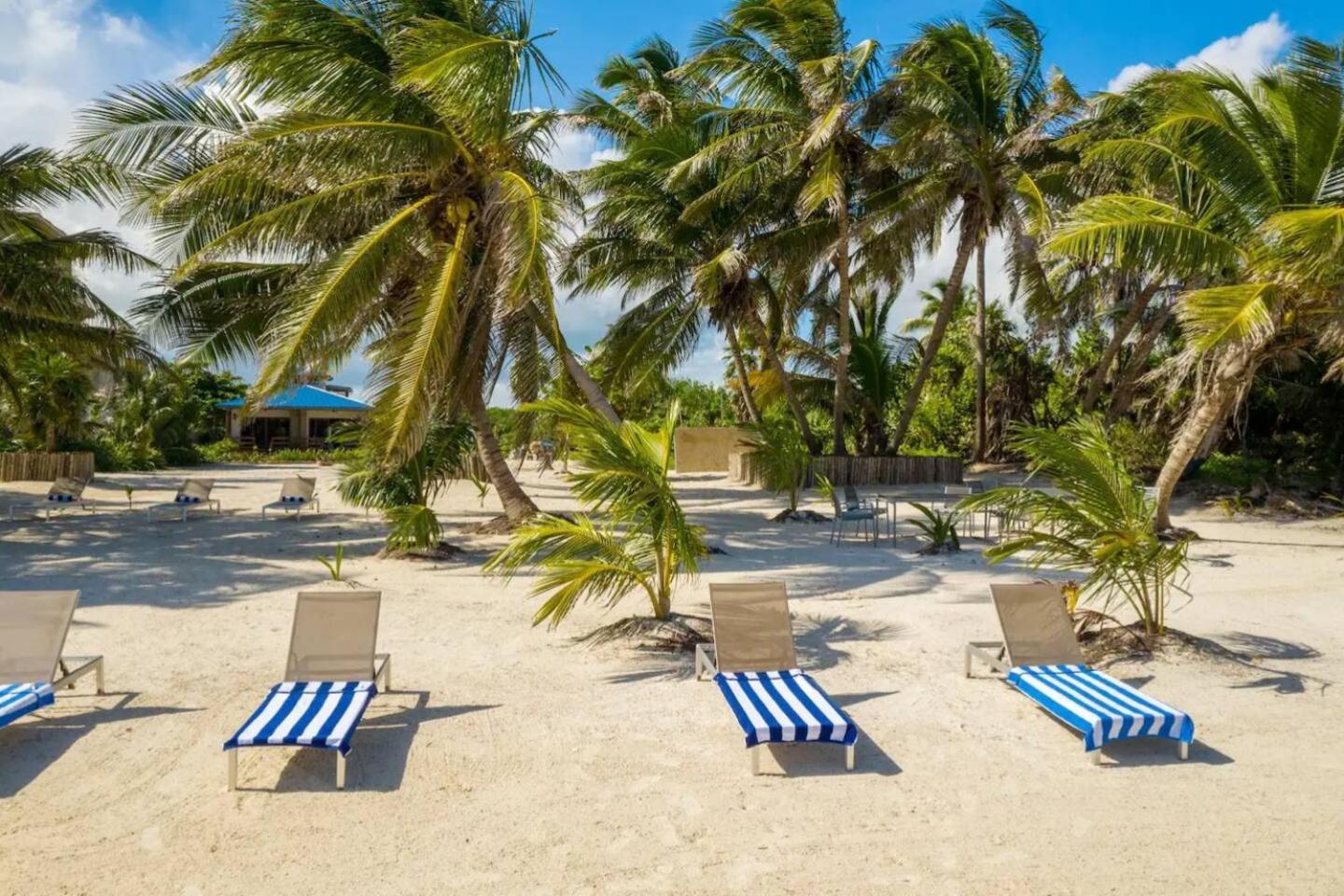 Private Beachfront Estate & Concierge