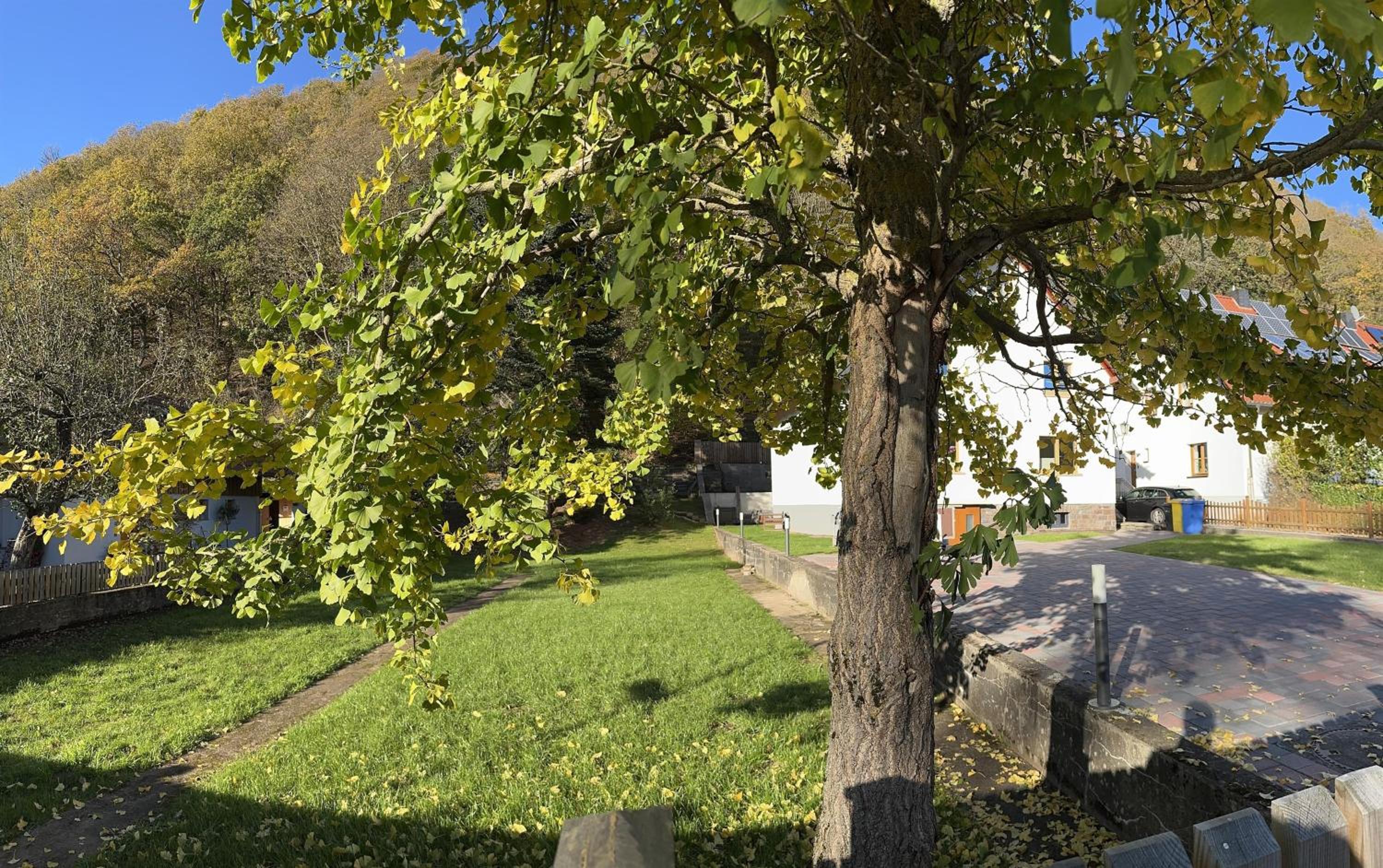Ferienhaus Ginkgo Biloba