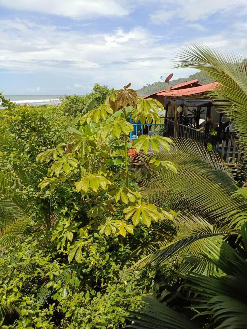 La Roca House