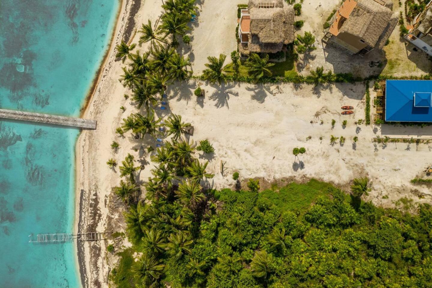 Secluded Oceanfront Private Estate By Alom