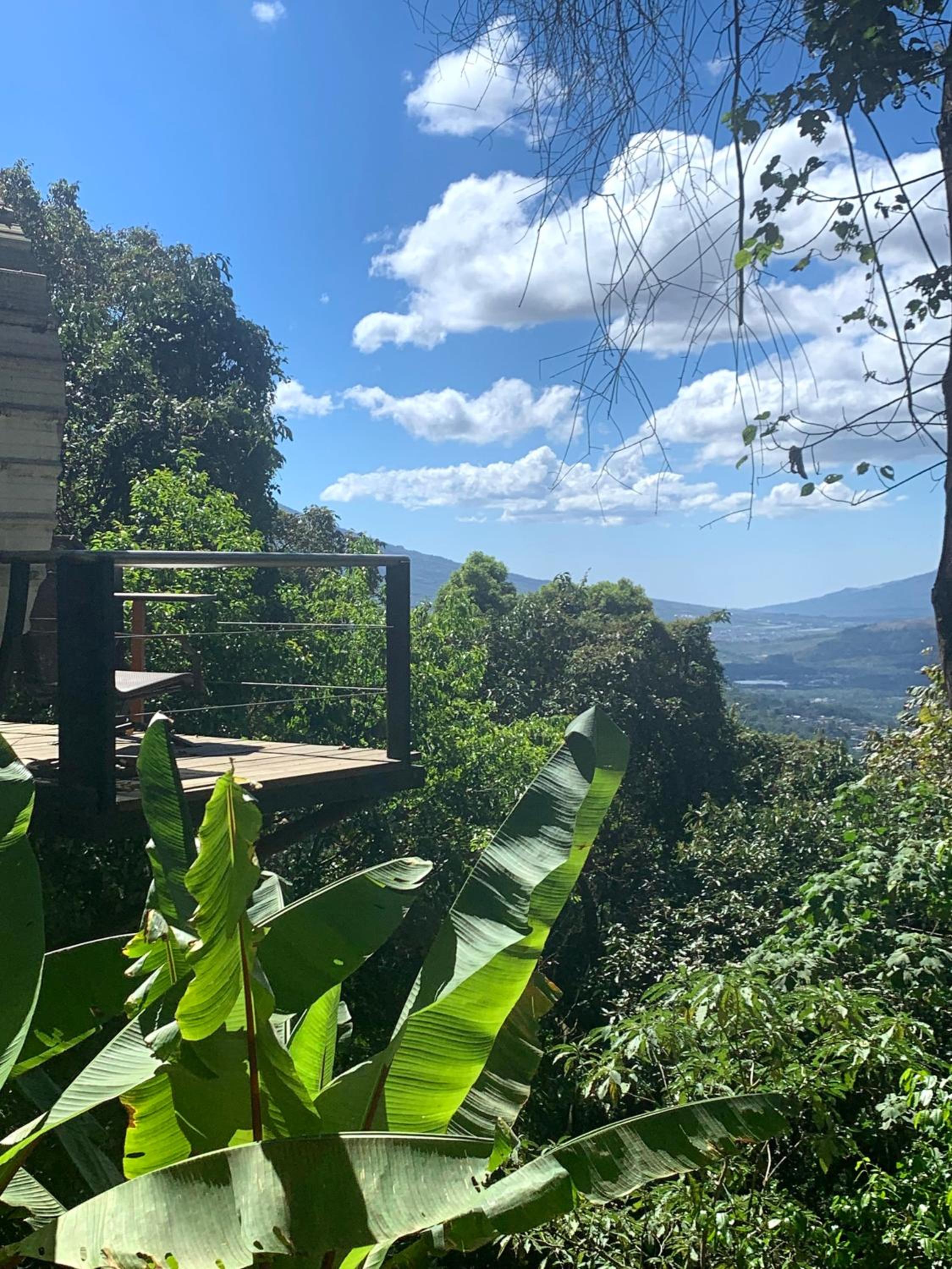 Finca El Tambor Nature Reserve, Lodging and Tours