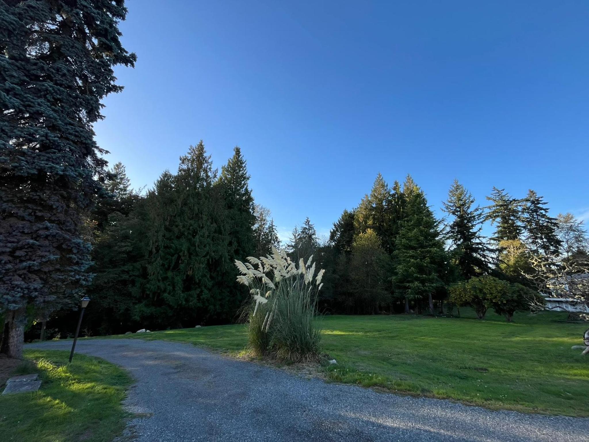 Modern Studio in MarysVille A Forest Haven view 3