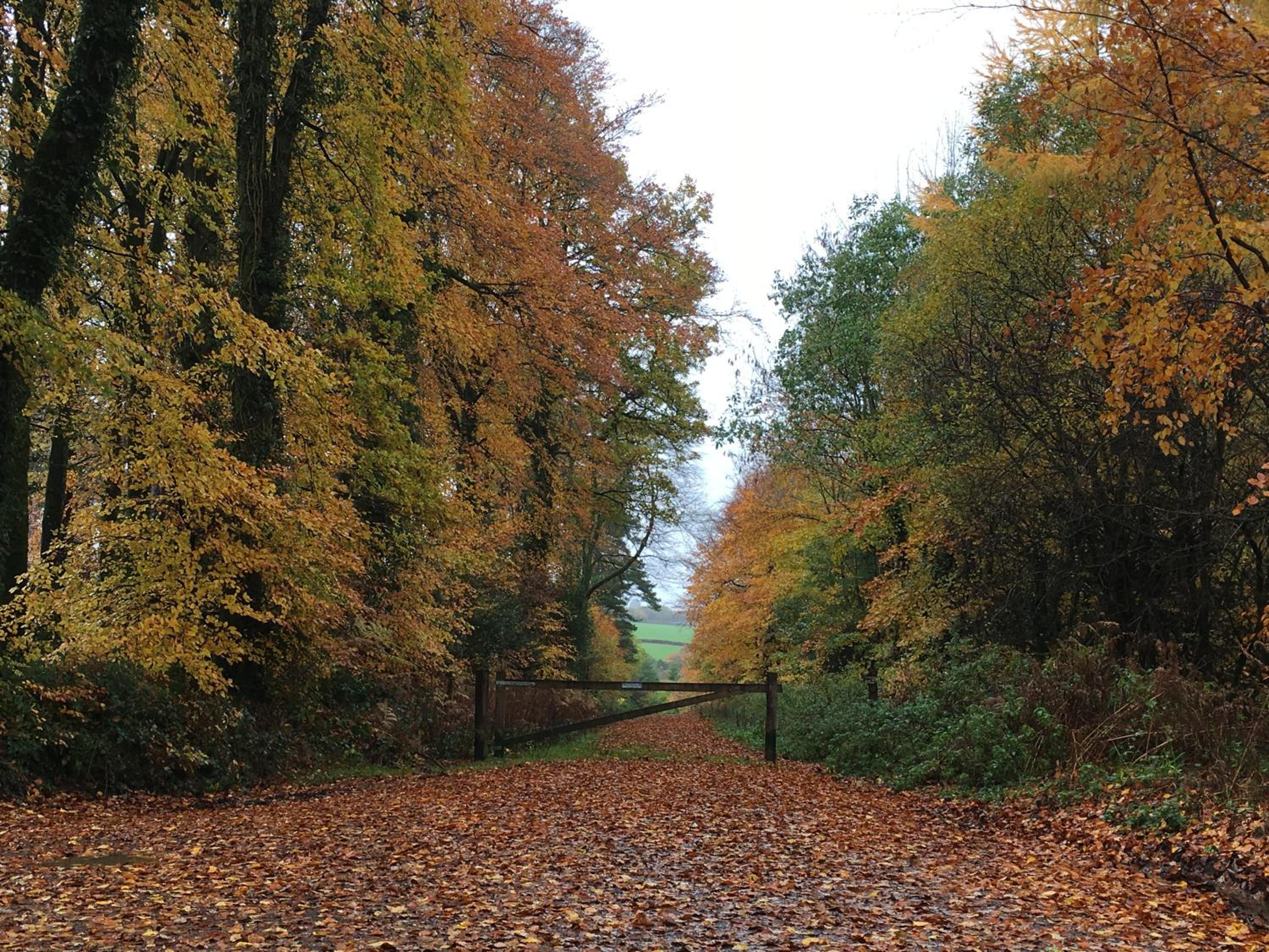 Meadow Sweet Cottage view 5