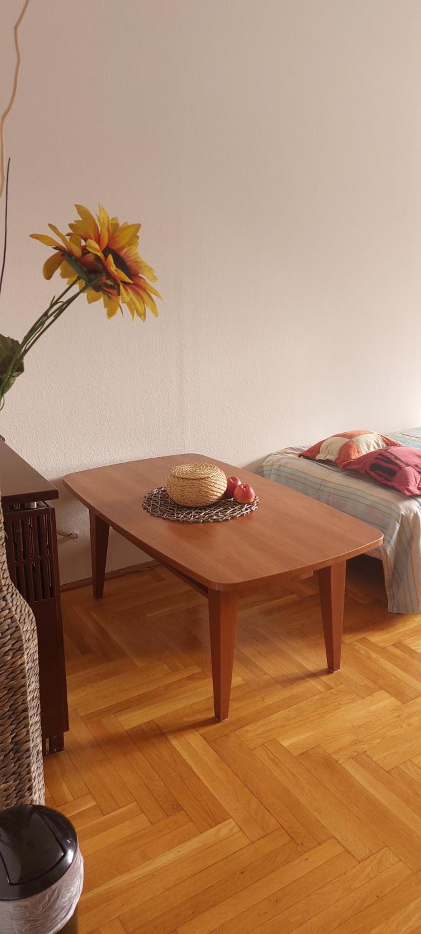 Hakuna Matata - Room in Budapest - Near Buda Castle, Parliament and Margaret Island view 2