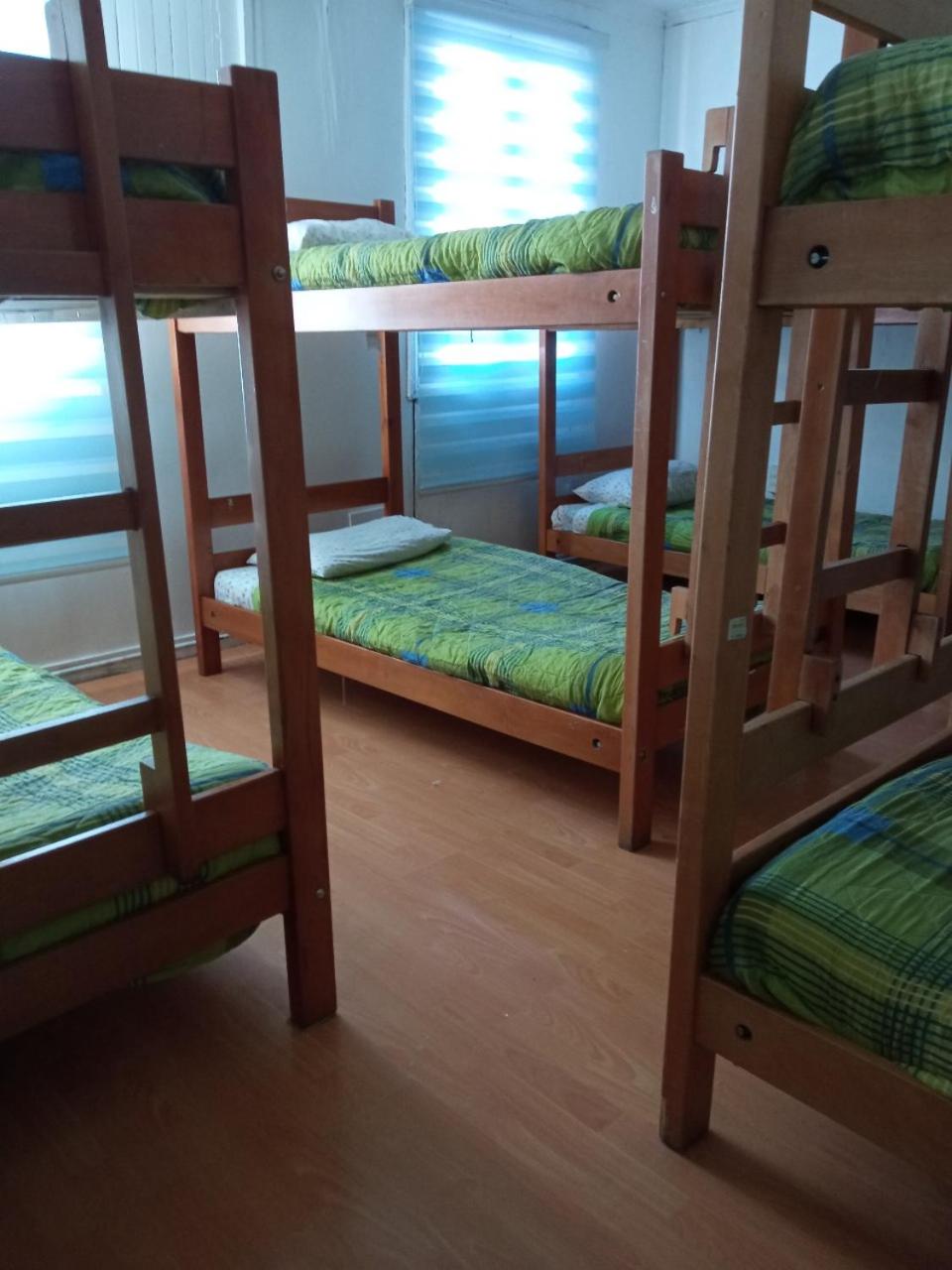 backpackersparadise hostel