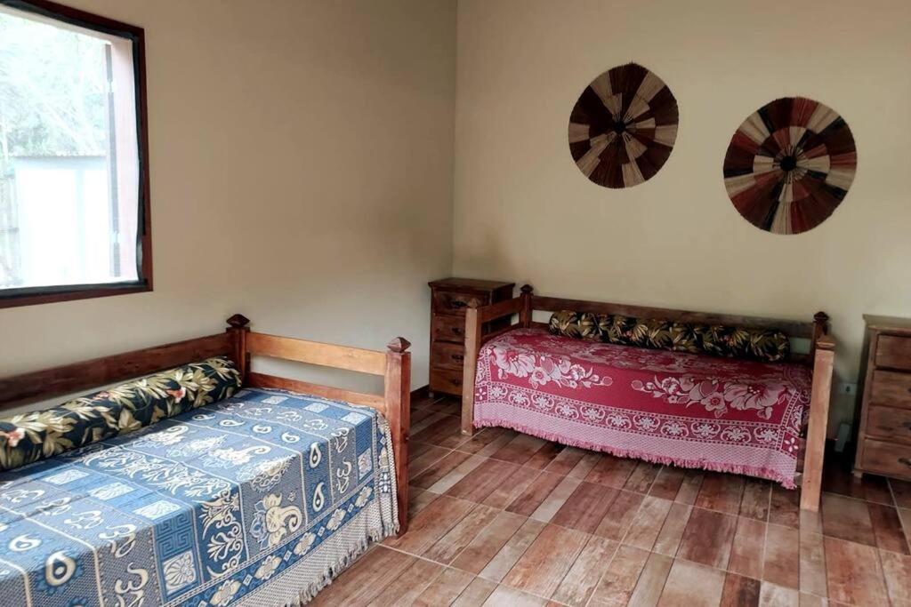 Casa com cachoeira-rio no quintal