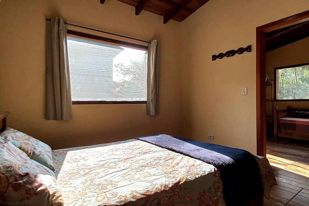 Casa com cachoeira-rio no quintal