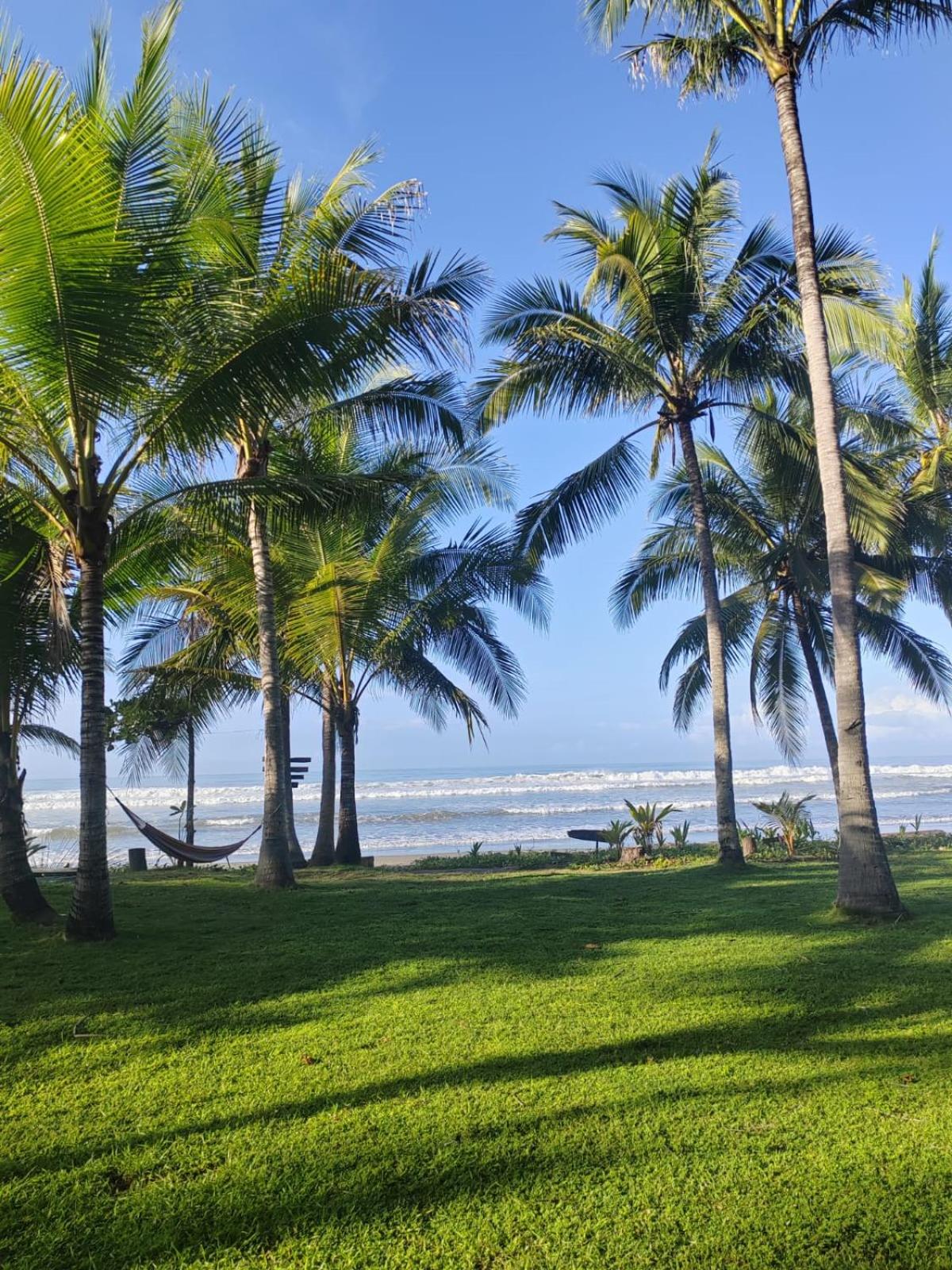Surf Camp Playa San Miguel