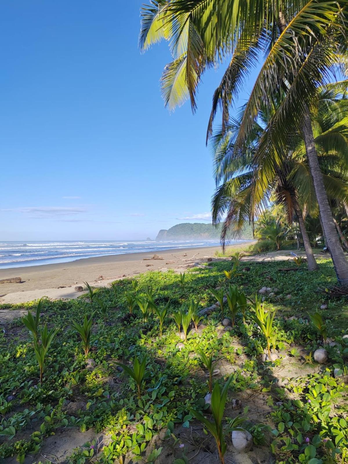 Surf Camp Playa San Miguel