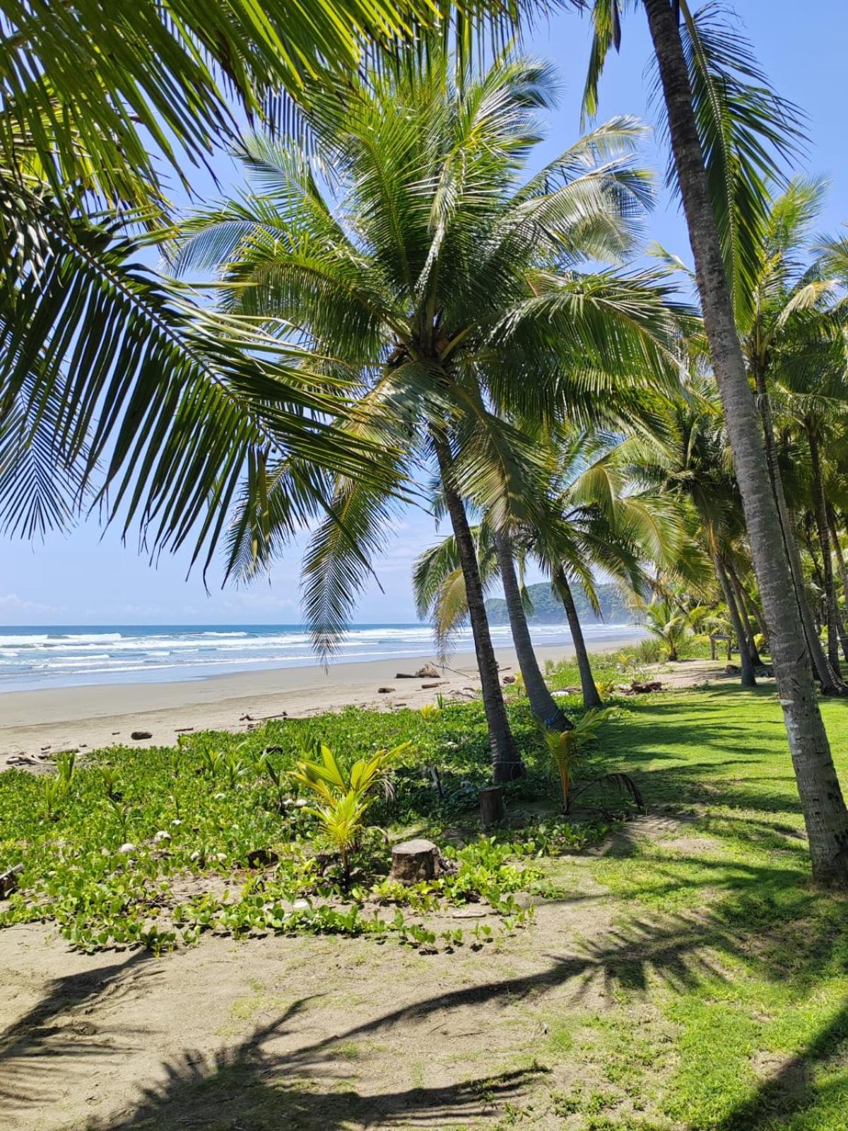Surf Camp Playa San Miguel