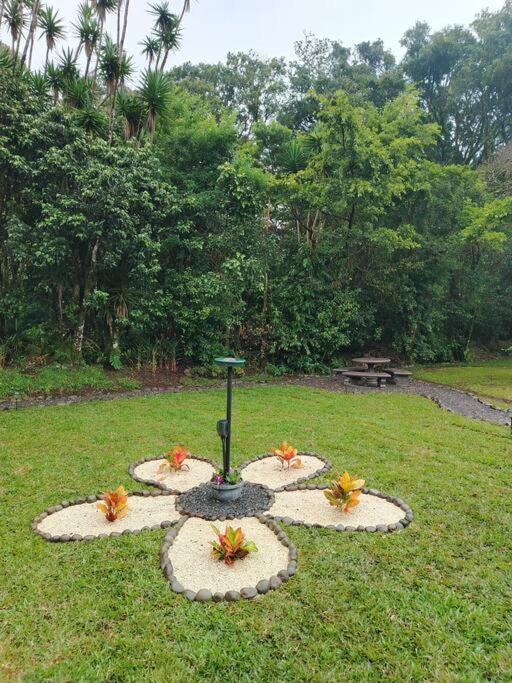 CABAÑAS REFUGIO VERDE MONTEVERDE, CASA NIEBLA MONTEVERDE, beautiful and private New Place