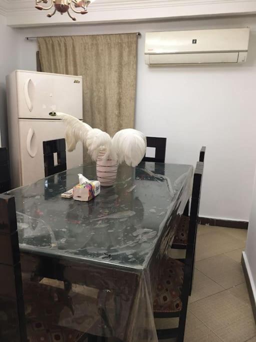 Cozy House, Nasr City, Airport, WHO
