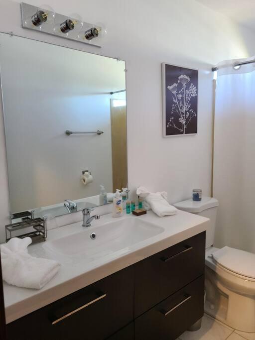 New Orleans Henry's Place, 3 Bedrooms in Lakeview, photo 9