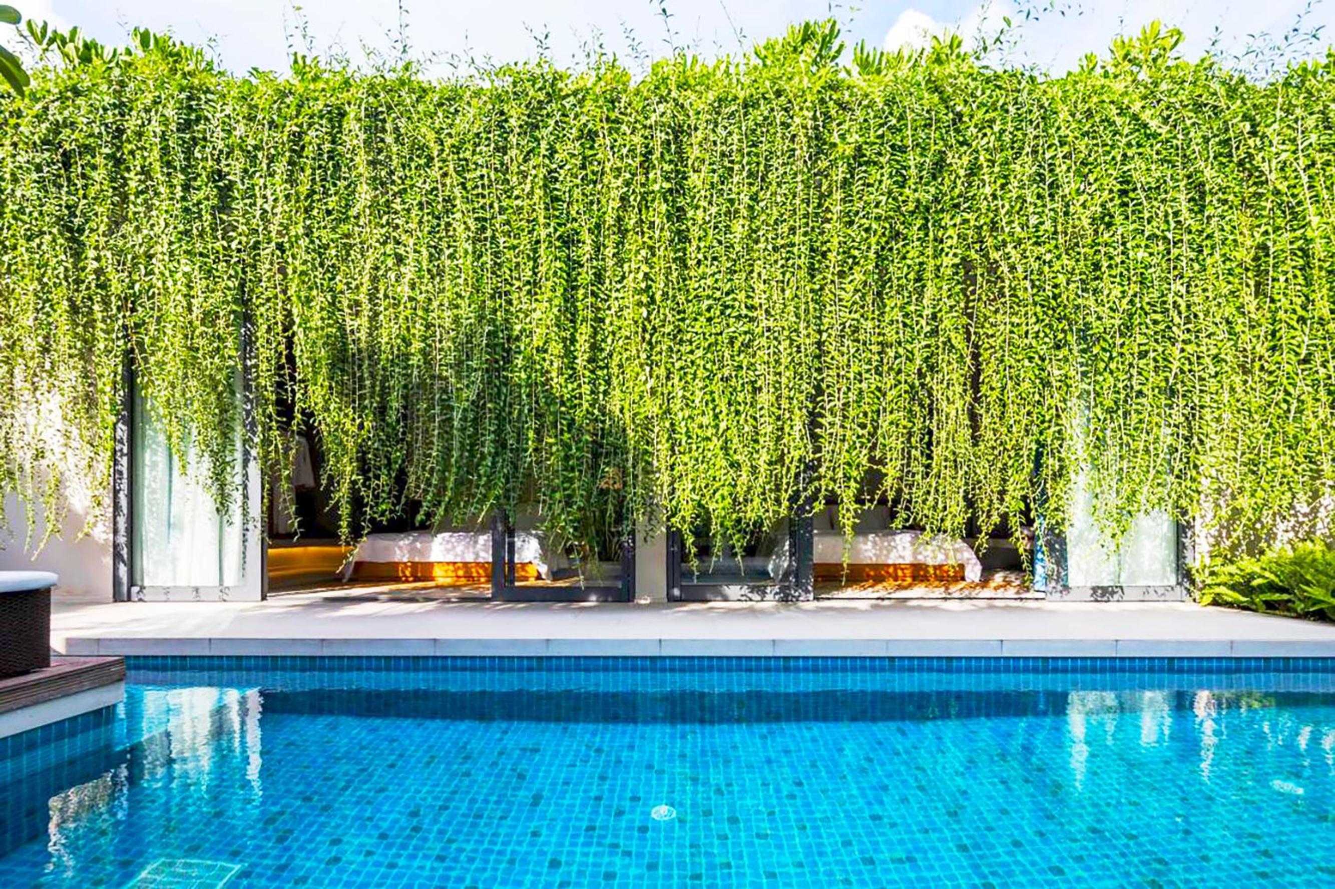 P Villa with 2 bedroom - Wyndham Garden view 3