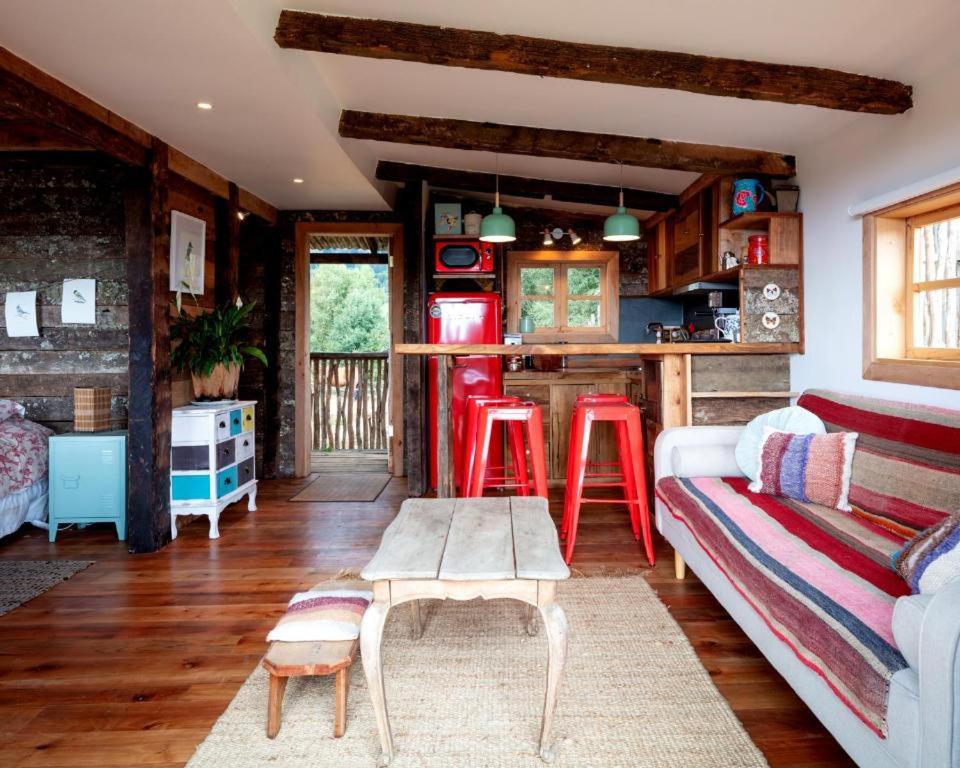 Tranco Lodge - In to the Horses